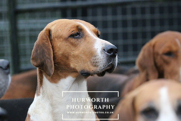 Hurworth Hunt  98