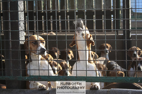 Hurworth Hunt 003