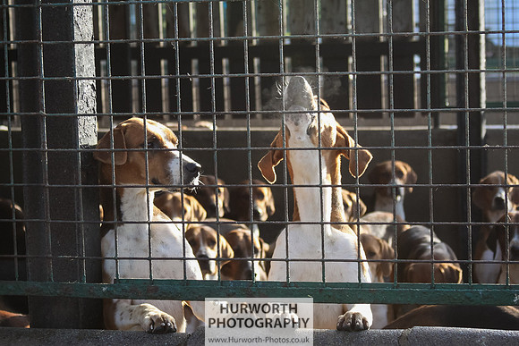 Hurworth Hunt 004