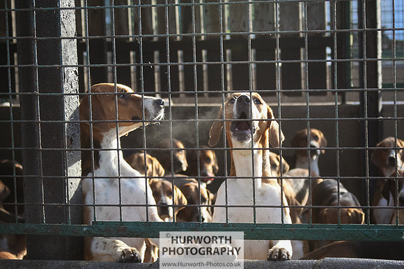 Hurworth Hunt 005
