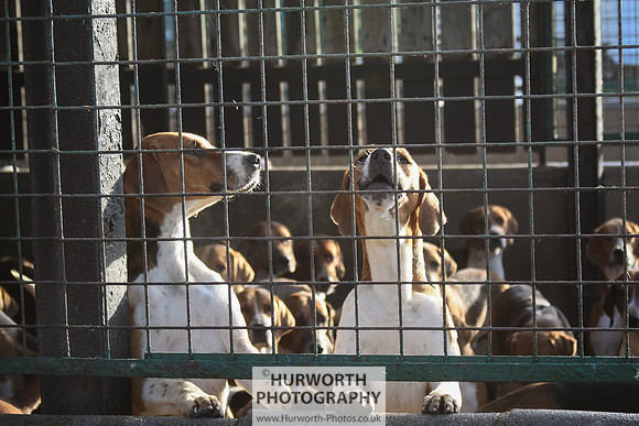 Hurworth Hunt 006