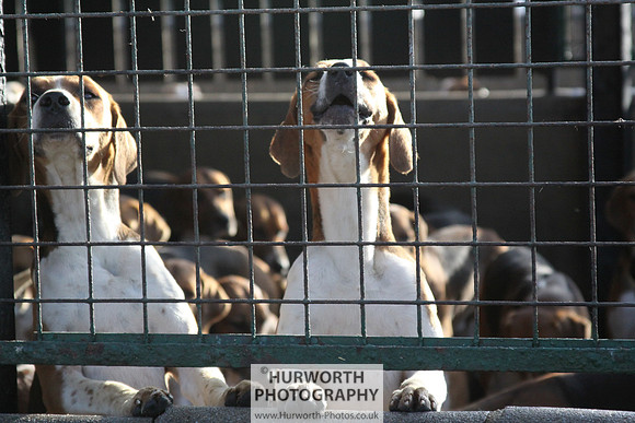 Hurworth Hunt 007