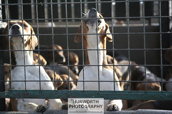 Hurworth Hunt 008