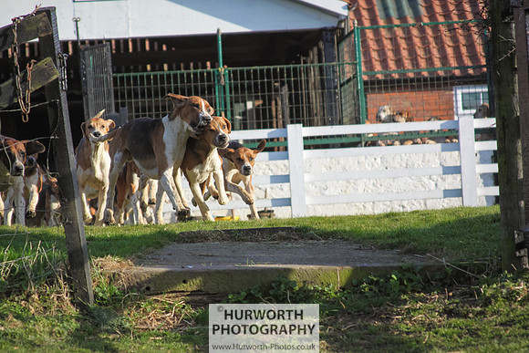 Hurworth Hunt 029