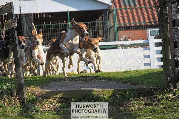 Hurworth Hunt 030