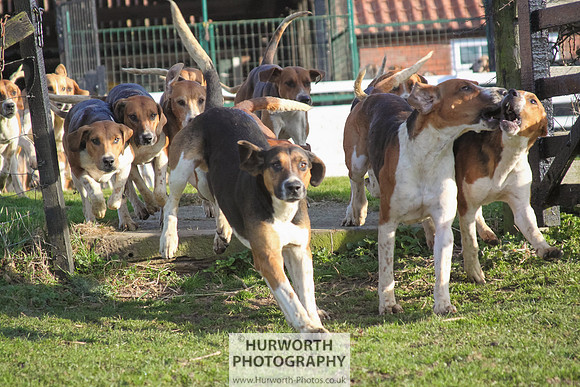 Hurworth Hunt 032