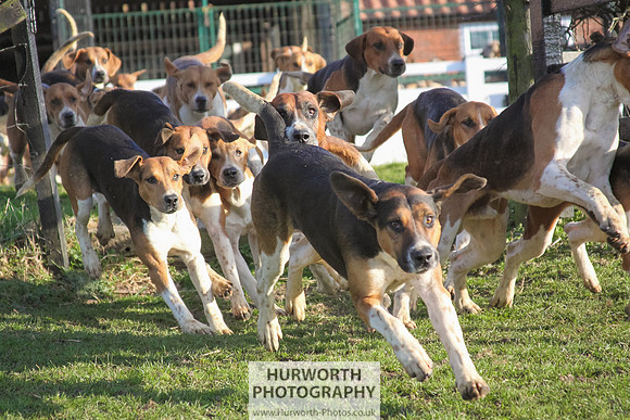 Hurworth Hunt 033