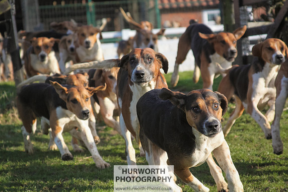 Hurworth Hunt 034