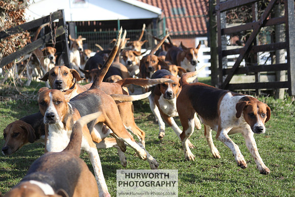 Hurworth Hunt 035