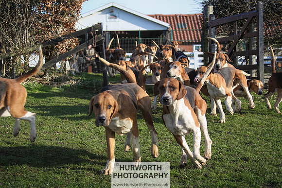 Hurworth Hunt 036