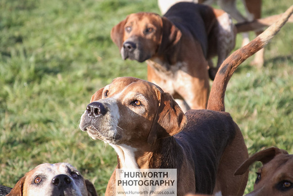Hurworth Hunt 046