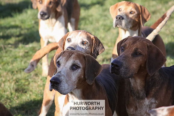 Hurworth Hunt 049