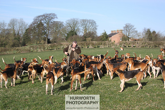 Hurworth Hunt 088