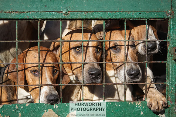 Hurworth Hunt 132