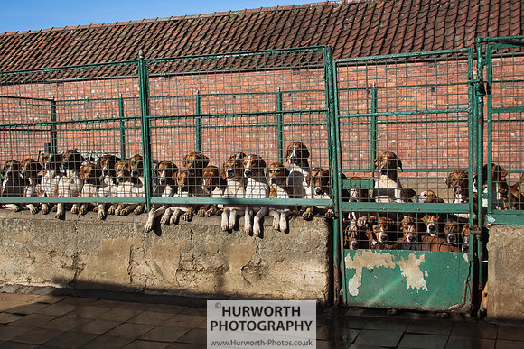 Hurworth Hunt 135