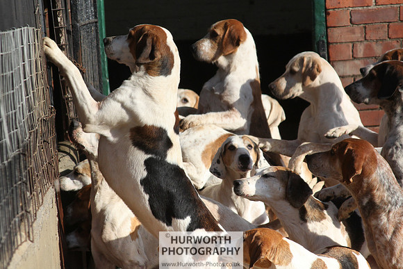 Hurworth Hunt 138