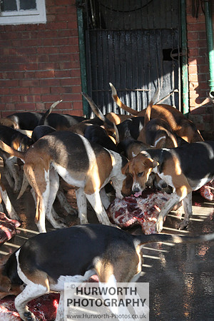 Hurworth Hunt 139