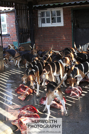 Hurworth Hunt 140
