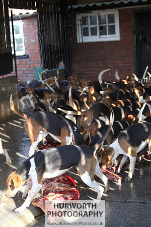 Hurworth Hunt 141
