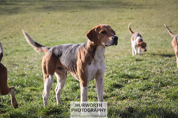 Hurworth Hunt 100