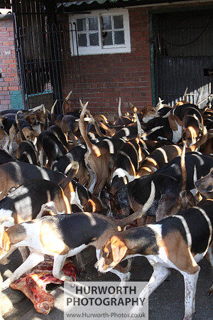 Hurworth Hunt 142