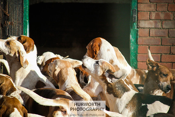 Hurworth Hunt 153