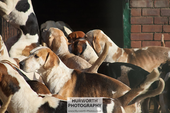 Hurworth Hunt 154