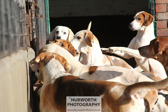Hurworth Hunt 156