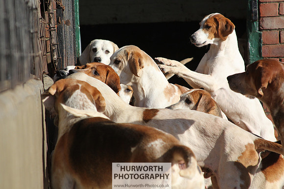 Hurworth Hunt 157