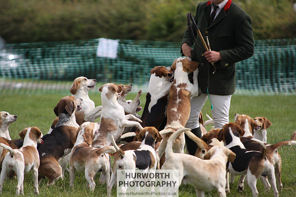 Sedgefield Game Fair 211