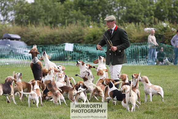 Sedgefield Game Fair 213