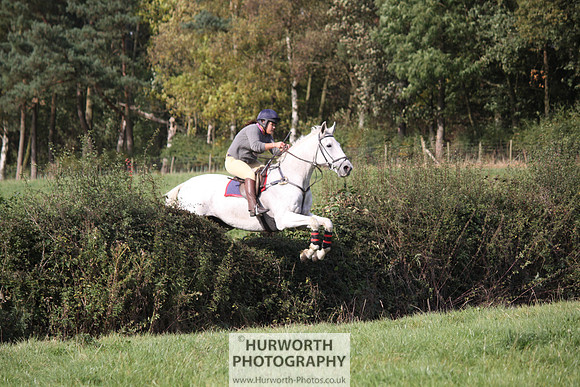 Hurworth Bilsdale Hedge Hop 529