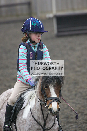 Hurworth Hunt Arena Show Cross 219