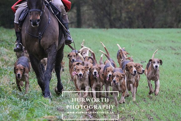 Hurworth Hunt  243