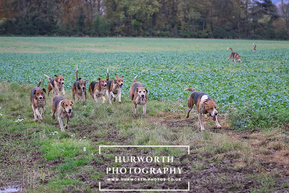 Hurworth Hunt  388