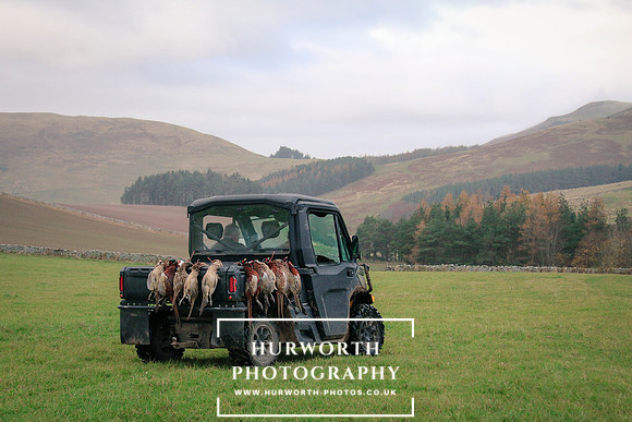 Kirk Yetholm 319