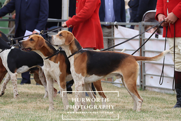 Hurworth Hunt 16