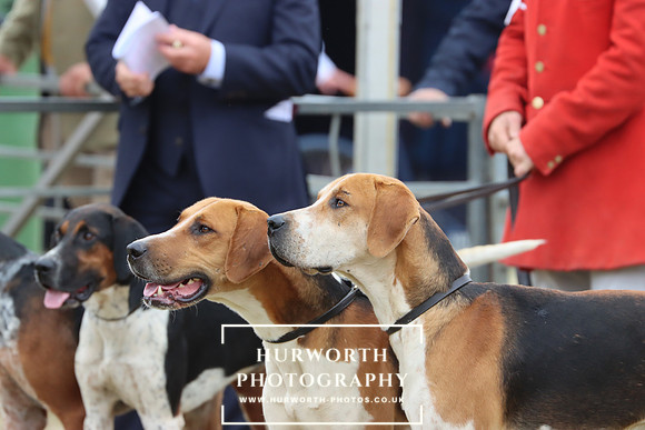 Hurworth Hunt 22