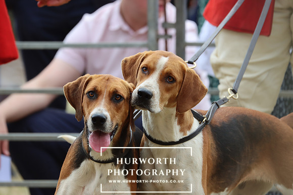 Hurworth Hunt 68