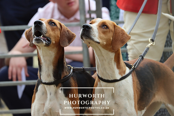 Hurworth Hunt 70