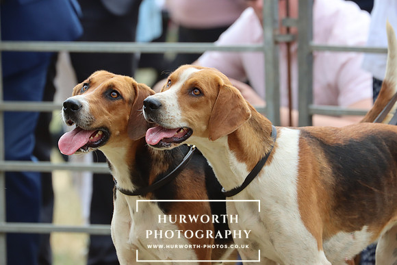 Hurworth Hunt 76