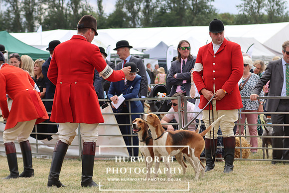 Hurworth Hunt 81