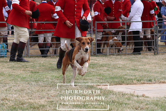 Hurworth Hunt 85