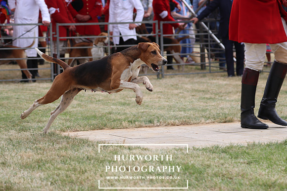 Hurworth Hunt 88