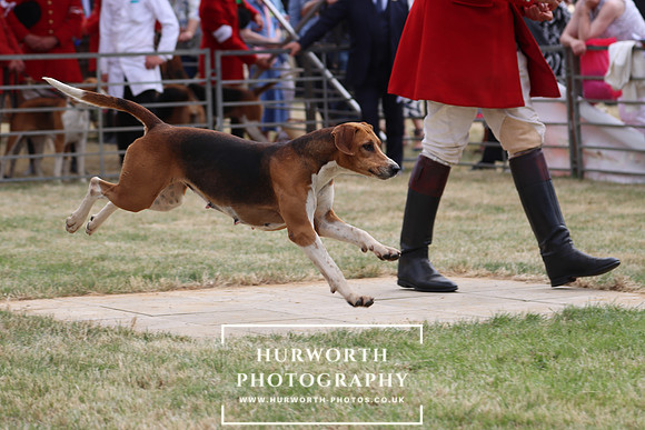 Hurworth Hunt 89