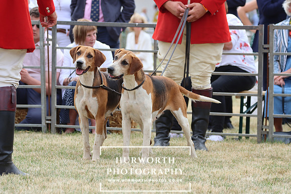 Hurworth Hunt 125