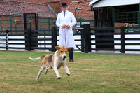 Hurworth Hunt 107