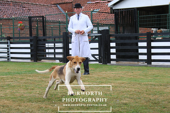 Hurworth Hunt 107