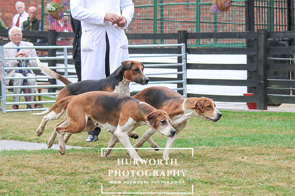Hurworth Hunt 150