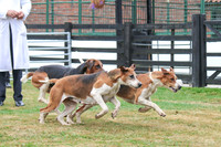 Hurworth Hunt 151